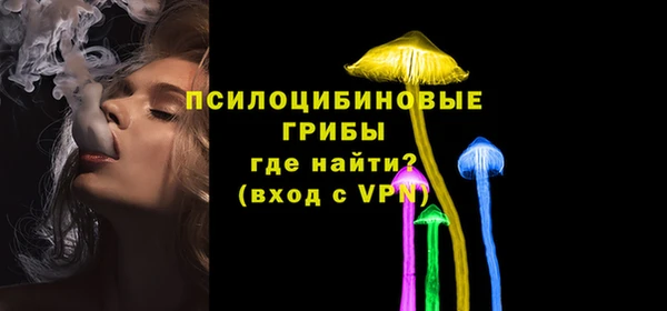 СК Пестово
