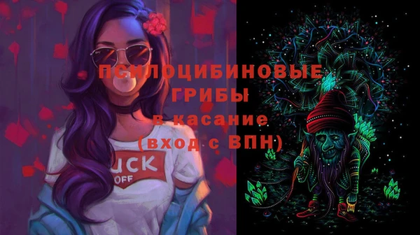 ешки Пересвет