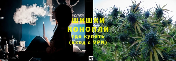 ешки Пересвет