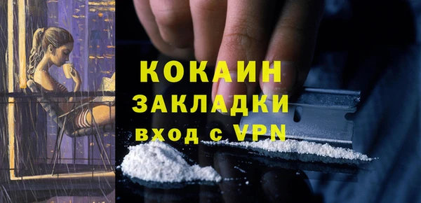 ешки Пересвет